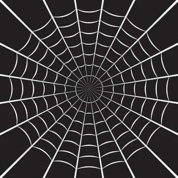 Spider web or cobweb. Halloween net background. Vector illustration. Illustrazione stock
