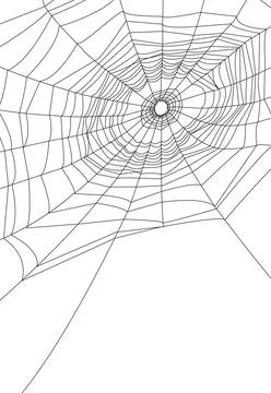 Spider web or cobweb spider web or cobweb illustrations. Copyright: xZoona... Foto stock