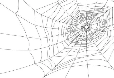 Spider web or cobweb spider web or cobweb illustrations. Copyright: xZoona... Stock Photos
