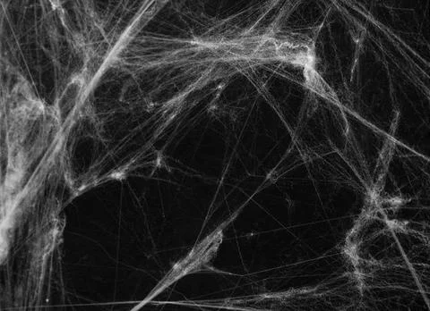 Spider web over black background. Halloween concept. Stock Photos