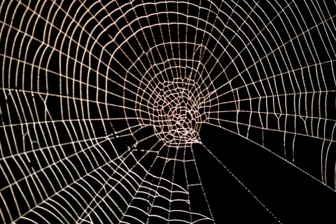 Spider web pattern for halloween scary spiderweb Stock Photos
