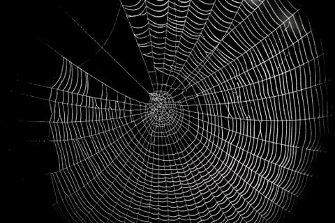 Spider web pattern for halloween scary spiderweb Stock Photos
