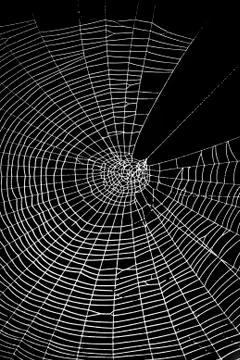 Spider web pattern for halloween scary spiderweb Stock Photos