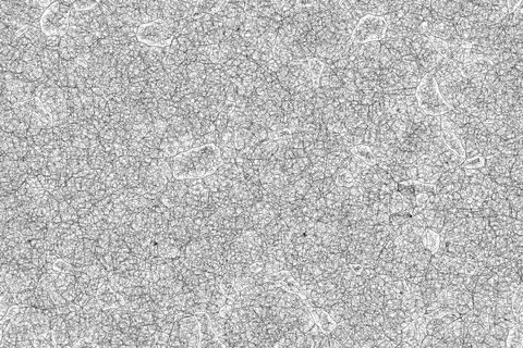 Spider web pattern overlay on transparent background 库存照片