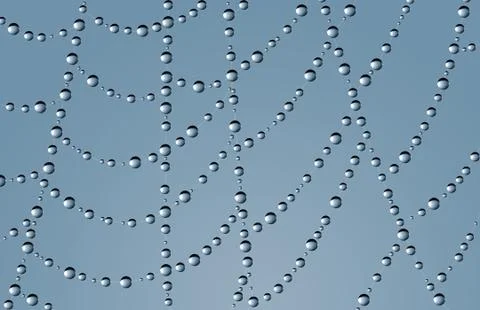 Spider web Foto stock