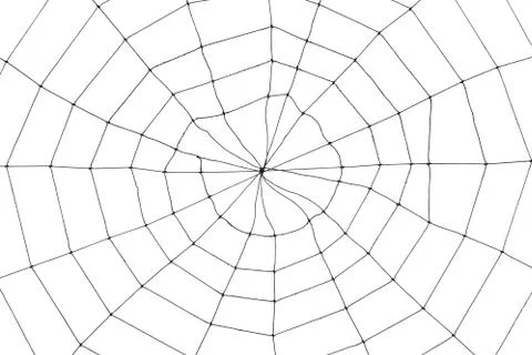 Spider Web Stock Photos