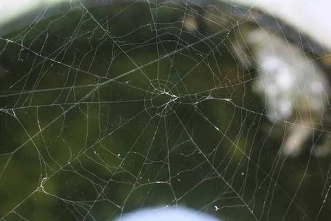 Spider web Stock Photos