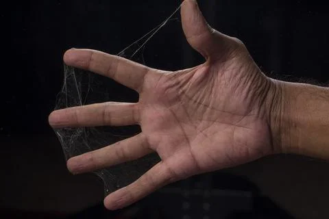 Spider web Stock Photos