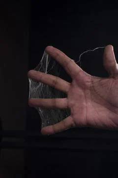 Spider web Stock Photos