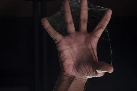 Spider web Stock Photos