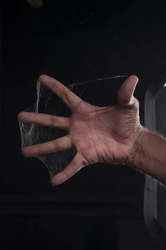 Spider web Stock Photos