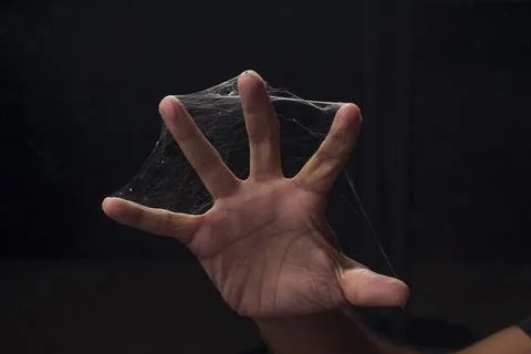 Spider web Stock Photos