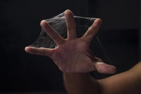 Spider web Stock Photos
