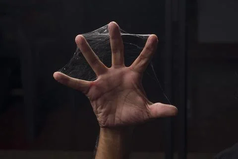 Spider web Stock Photos