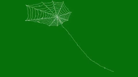 Spider web rapidly stretching and contracting elastic strands on green screen 動画素材 347317653