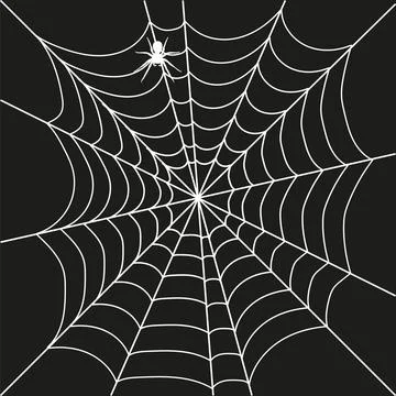 Spider web, realistic white web on a black background, web with a spider. 스톡 일러스트