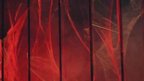 Spider web In red light and smoke Stock Footage 253215433