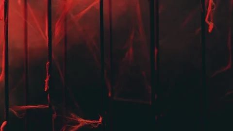Spider web In red light and smoke Stock Footage 253215610