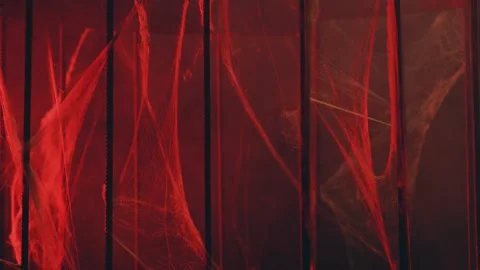 Spider web In red light and smoke Stock Footage 253215722