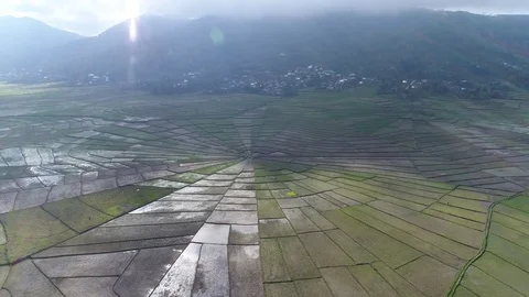 Spider web rice field in Ruteng, Flores island, Indonesia. Stock Footage 82787140