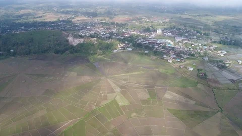 Spider web rice field in Ruteng, Flores island, Indonesia. Stock Footage 82787209