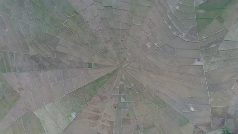 Spider web rice field in Ruteng Stock Footage 83924529