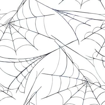 Spider web seamless pattern with thin threads forming a natural cobweb, net Stock Illustration