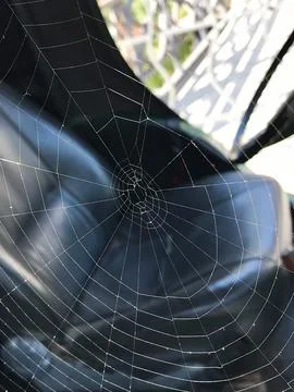 A spider web is seen in the center of the image Stock Photos