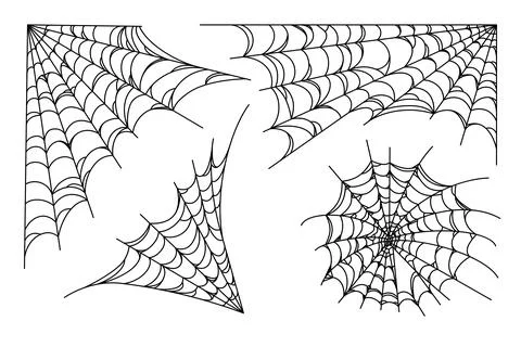 Spider web set isolated on white background. Spooky Halloween cobwebs. Vector Stock Illustration
