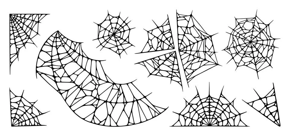 Spider web set isolated on white background. Outline Halloween cobwebs. Vector Stock Illustration