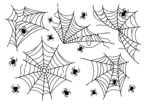 Spider web set isolated on white vector Stock Illustration