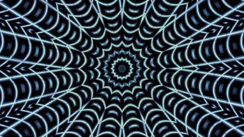Spider Web Shaped Effect Stock Footage 102062834