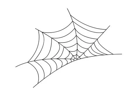 Spider web simple hand drawn vector outline illustration of doodle fancy Stock Illustration