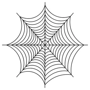 Spider web. Sketch. Silhouette. Vector illustration. Illustrazione stock