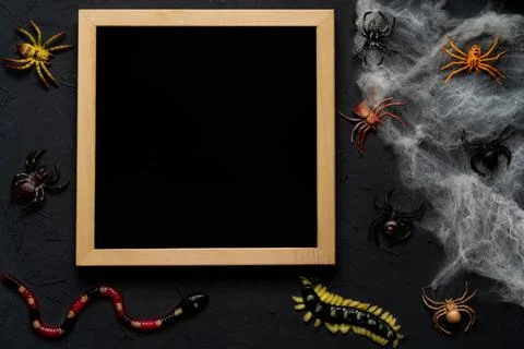 Spider web, snakes, insects made of candy and marmalade on a black background Stock Photos
