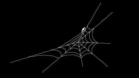 Spider web with a spider on a black background. Stock Footage 318171788