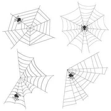 Spider web with a spider Stock Illustration