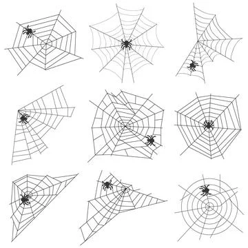Spider web with a spider Stock Illustration