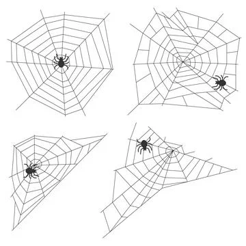 Spider web with a spider Stock Illustration
