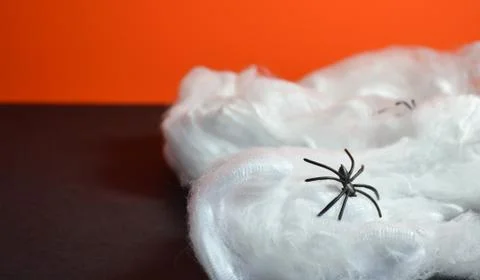 Spider web with a spider on an orange background. Halloween Stock Photos