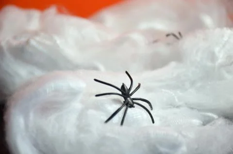 Spider web with a spider on an orange background. Stock Photos