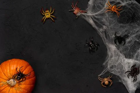 Spider web with spiders on a black background, Halloween, top view Stock Photos