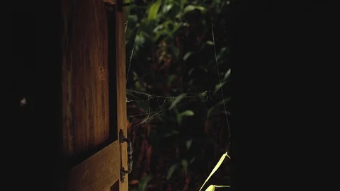 Spider web in the sun rays wooden windows Stock-Footage 106334391