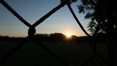 Spider Web Sunrise Stock Footage 143117790