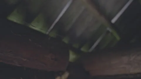 Spider web swaying on light breeze on brown wooden building corner Stock Footage 249702709