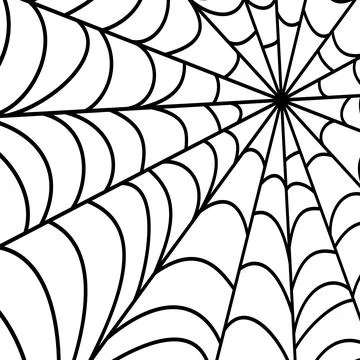Spider web texture. Illustrazione stock