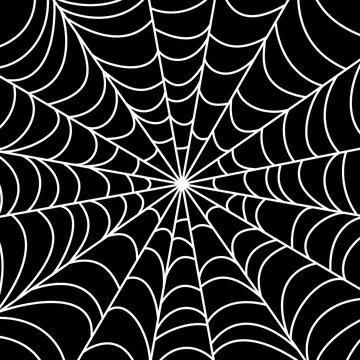 Spider web texture. Stock Illustration