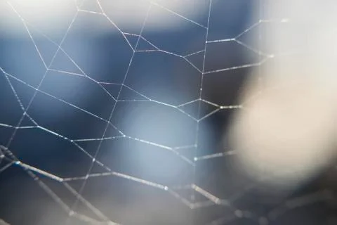 Spider web threads on blurred background on Sunny day Stock Photos