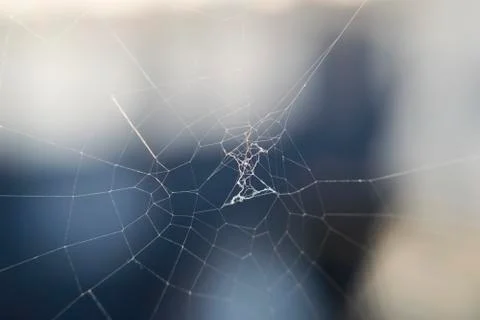 Spider web threads on blurred background on Sunny day Stock Photos