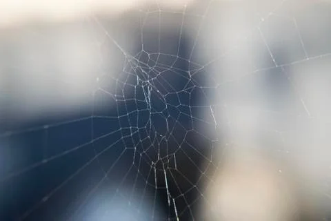 Spider web threads on blurred background on Sunny day Stock Photos